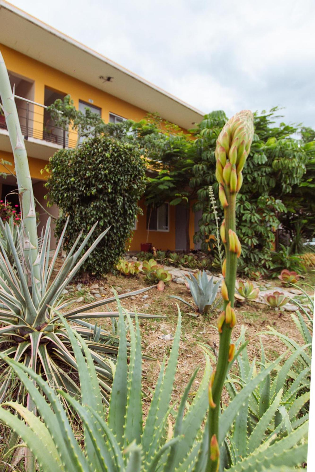 Hotel Guiva San Pablo Hacienda Blanca Bagian luar foto